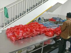 Mandai Foodlink (D25), Factory #506745971